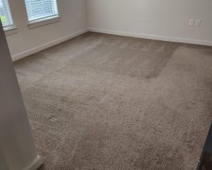 Carpet Cleaning Carpet Cleaning